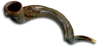 Animal Horn 05