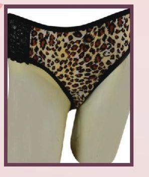 Ladies Panty 07