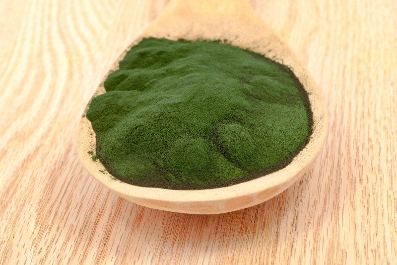 Spirulina Powder 02