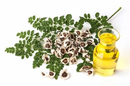 Moringa Oil 02