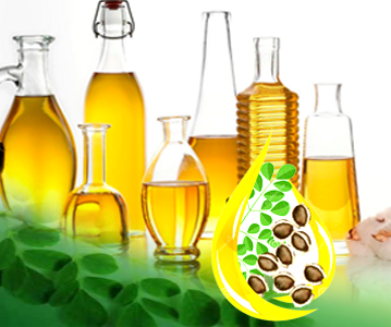 Moringa Oil 03
