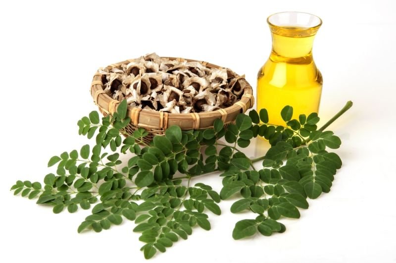 Moringa Oil 04