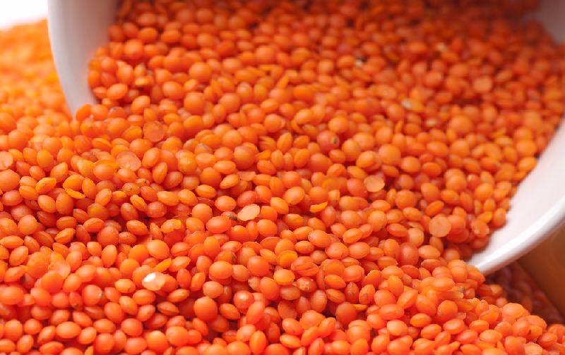 Red Lentils 01