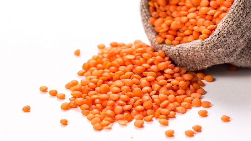 Red Lentils 02