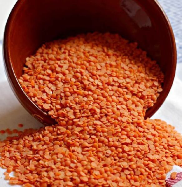 Red Lentils 03