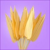Palm Arrow Leaves