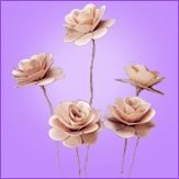 Palm Decorative Rose