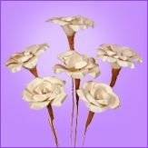 Palm Decorative Rose