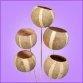 Palm Kin Bell Cup
