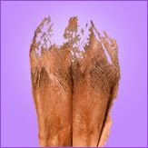 Palm Net