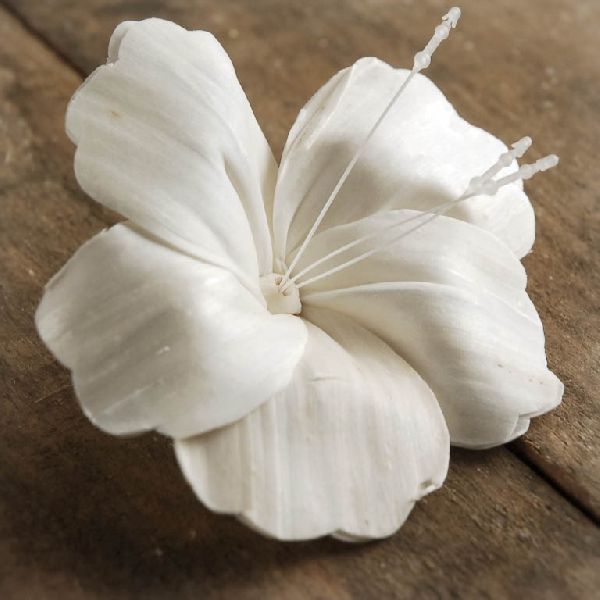 Sola Hibiscus Flowers