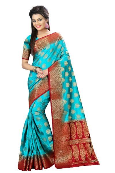 Designer Saree 05