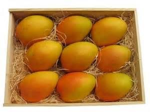 Alphonso Mango 01
