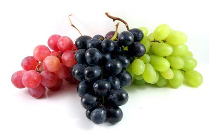Fresh Grapes 01