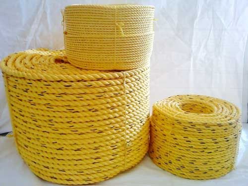 Danline Rope 02