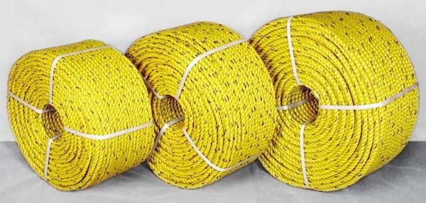 Danline Rope 03