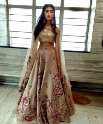 Designer Lehenga Choli 05