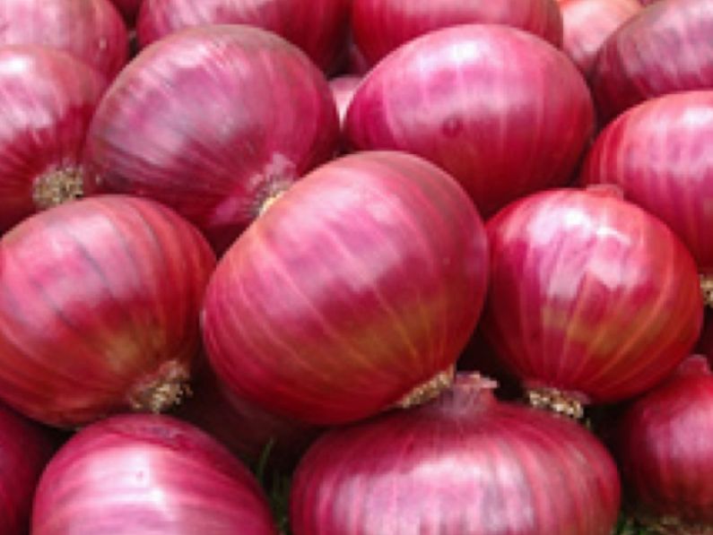 Fresh Red Onion 01
