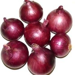 Fresh Red Onion 02