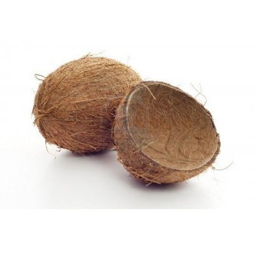 Coconut Shell 01