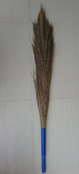 Pure Grass Broom 02