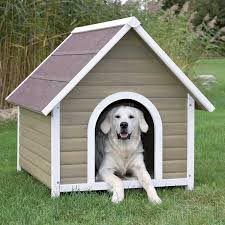 FRP Dog House 01