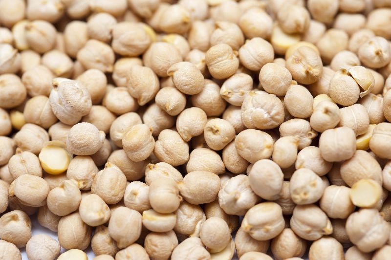 White Chickpeas 01