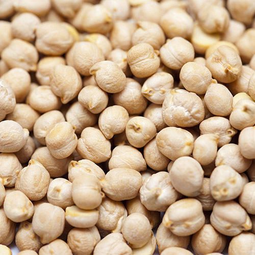 White Chickpeas 02