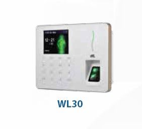 WL30 ESSL Biometric Attendance Machine