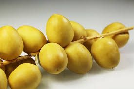 Fresh Yellow Barhi Dates 01