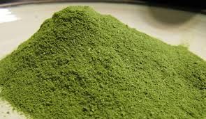Moringa Oleifera Powder 03