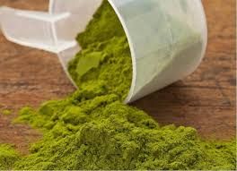 Moringa Oleifera Powder 04