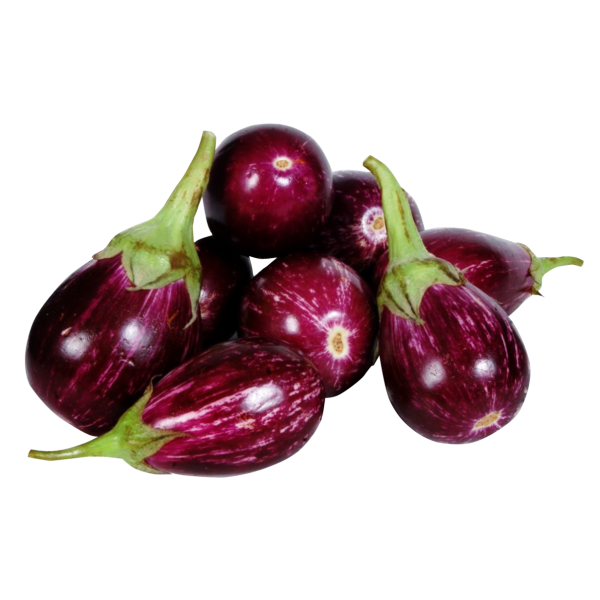 Fresh Brinjal 01