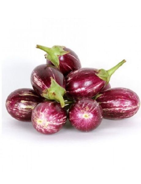Fresh Brinjal 02