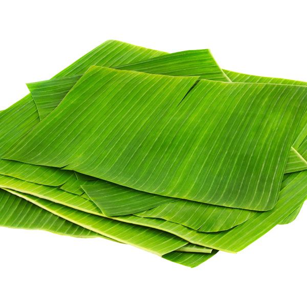 Banana Leaf 02