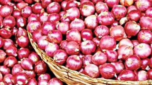 Fresh Red Onion 01