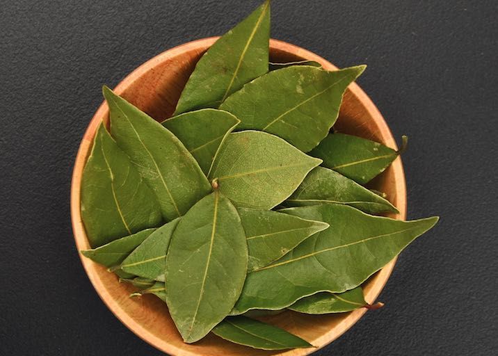 Bay Leaf 01