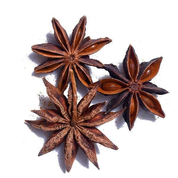 Star Anise Seed 01