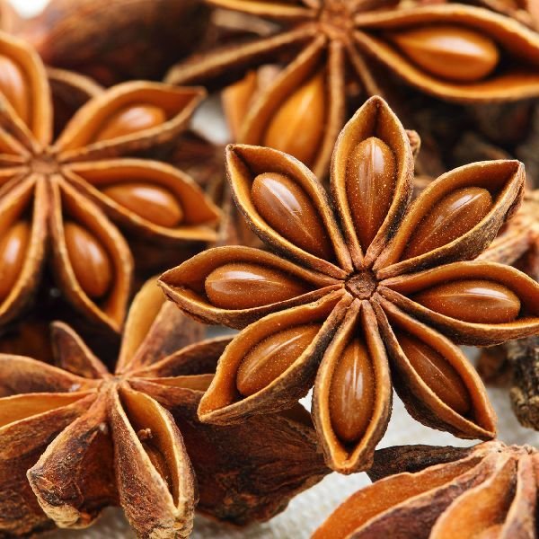 Star Anise Seed 02