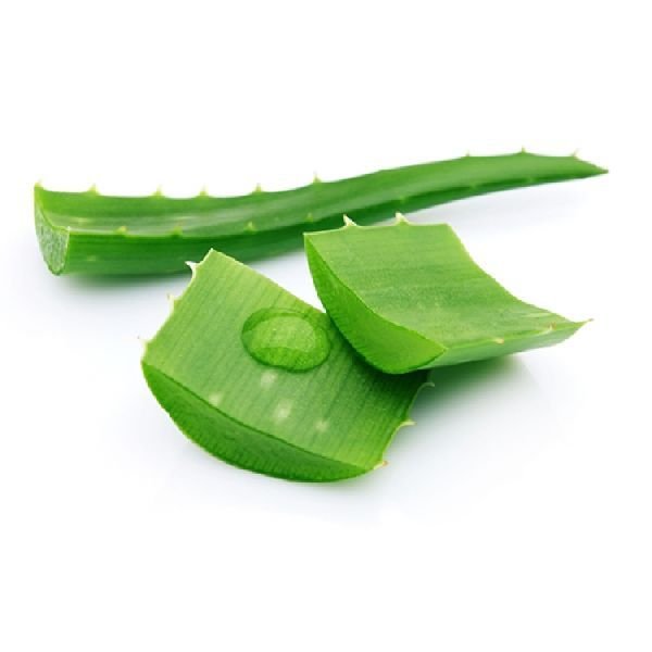 Organic Aloe Vera Leaves 02