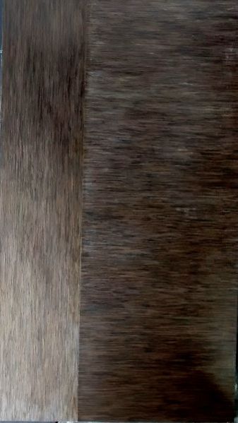 Veneer Door 02