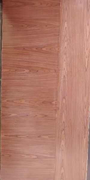 Veneer Door 03