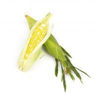 Yellow Corn 01
