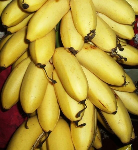 Nanjangud Rasabale Banana 04