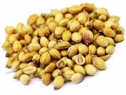 Coriander Seeds 01