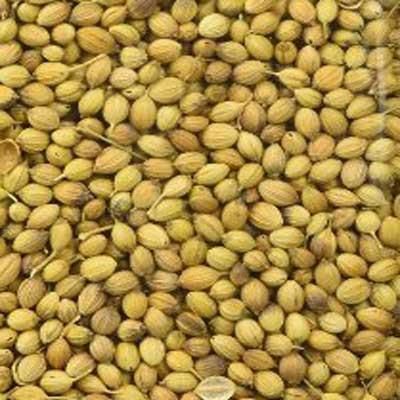 Coriander Seeds 02