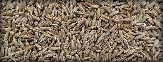 Cumin Seeds 01
