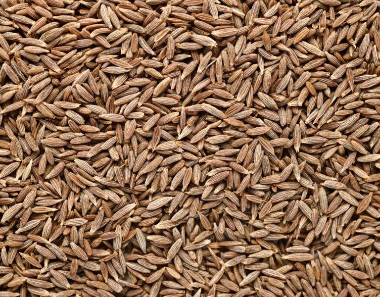 Cumin Seeds 02