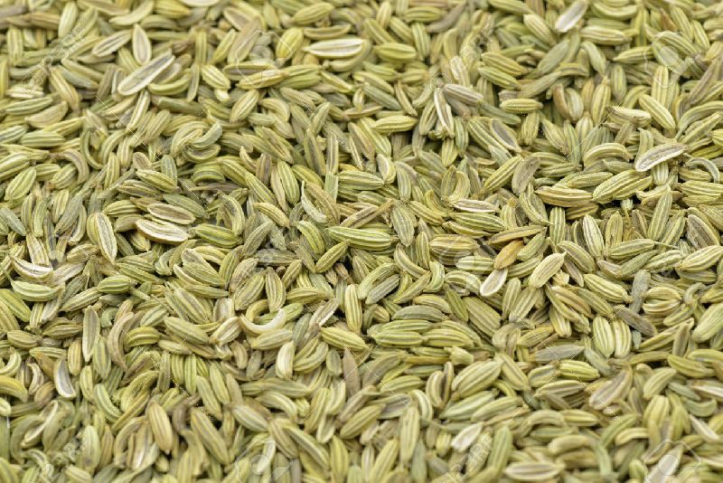 Fennel Seeds 01
