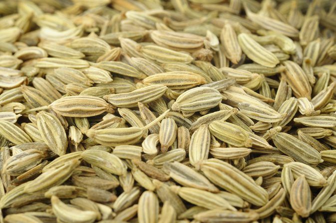 Fennel Seeds 02